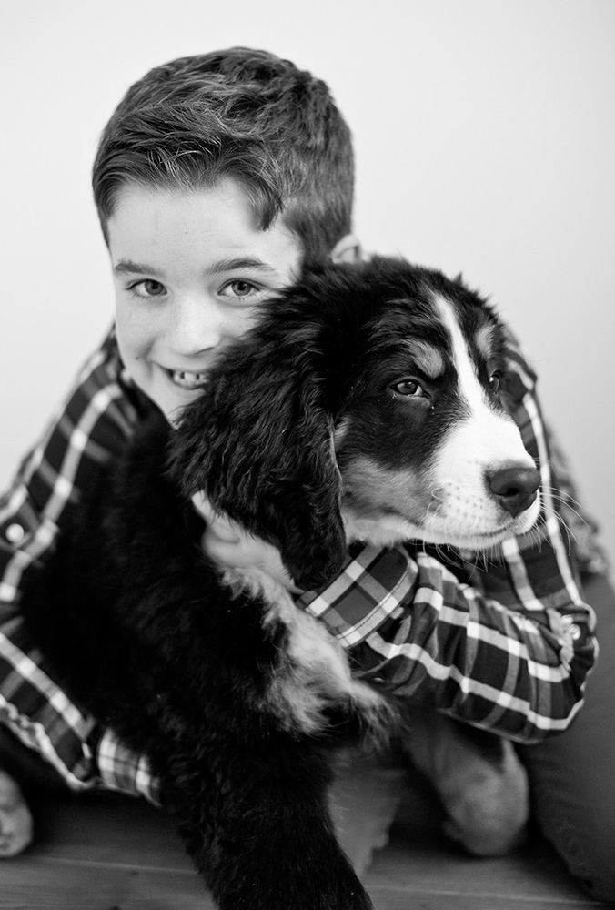 Hundefoto hundefotoshooting hundeportrait